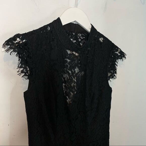 Fame and Partners Black Lace Maxi Dress - Picture 9 of 15